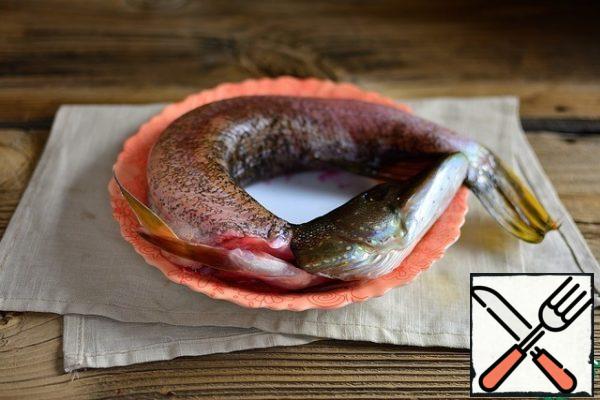 Wash the pike, clean it, and remove the gills and entrails.