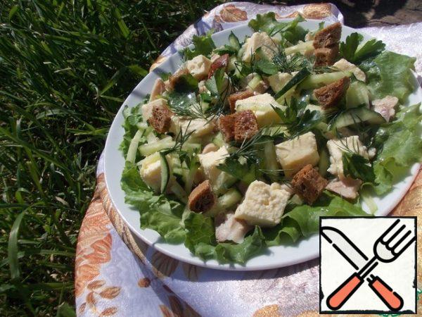 RUB the rye bread with garlic and cut it into cubes, put it on a baking sheet and dry it in the oven until it crunches. Then we send it to the salad, cut the greens there and pour olive oil, salt to taste.