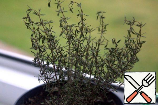Add thyme. We bought it in a pot, because we love it.