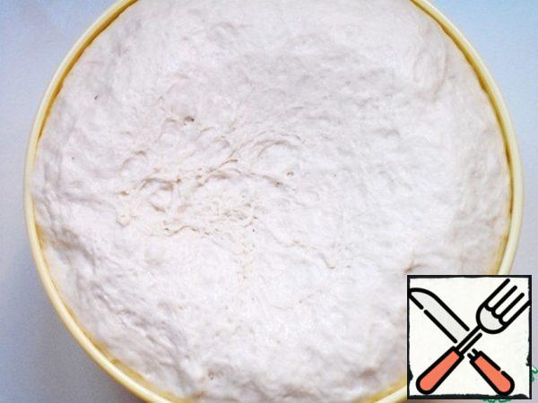 Cover the well-kneaded dough and leave it warm to rise, about 30-40 minutes.