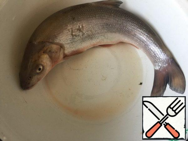 These cutlets can be prepared from any fish, I have Rudd. We clean the fish and cut it into fillets.