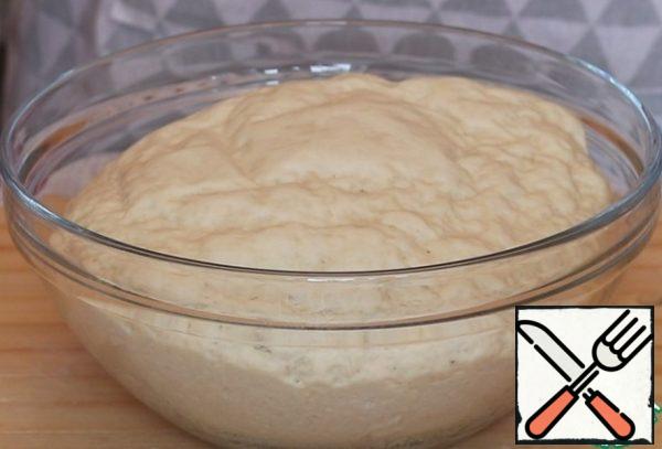 The dough that comes up should increase several times and become lush.
