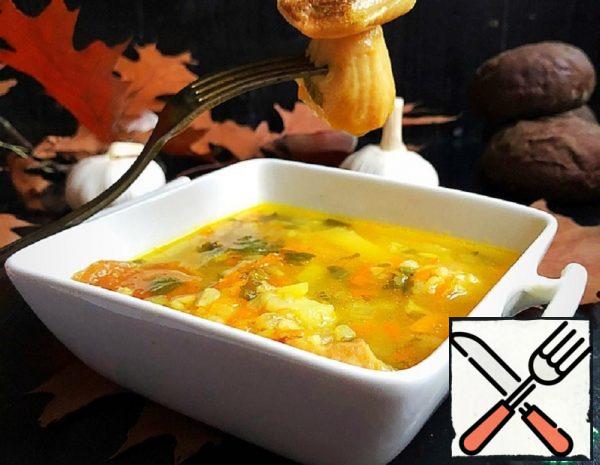 Soup Frozen Wild Mushroom Recipe