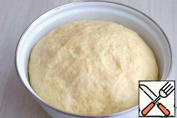 Cover the container with the dough with a towel or tighten with cling film and put it in a warm place for lifting. Then you can start cutting buns. Next, divide the dough into equal pieces of about 55-60 gr. Roll each piece into a round ball and cover with a towel to avoid drying out the dough.