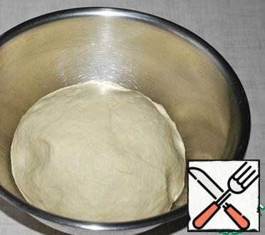 When the dough is kneaded, put it in a cup greased with vegetable oil and cover with cling film or a towel. Let him rest for an hour.