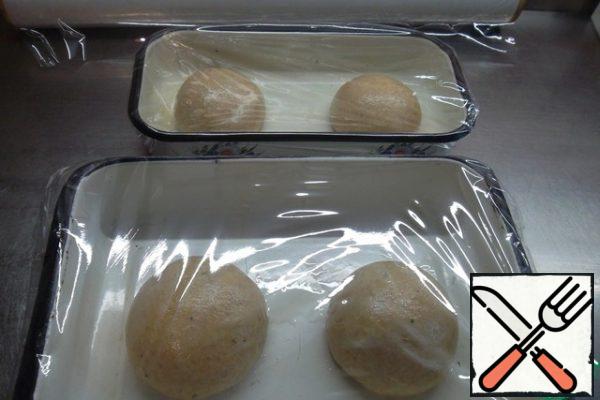 Remove from the refrigerator and carefully wrap the film. Severiana - worst enemy test in our case! In general, this technique is necessary to ensure that less condensate is collected in closed boxes, and accordingly there is less humidity.