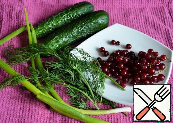Wash and dry the cucumbers, currants and herbs.