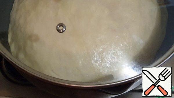 Cover again and bake for another 10 minutes.