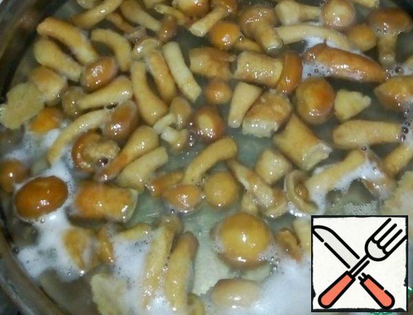 At the same time, mushrooms were prepared, I have freshly frozen honey mushrooms.
As usual, I cooked for 30 minutes and warmed it slightly with oil.
Add salt and pepper to taste.