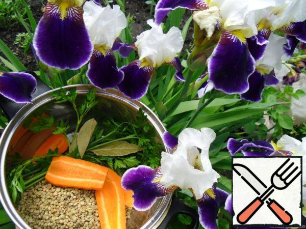 In a saucepan, put the washed lentils, parsley and bay leaf (tied together with a thread), carrots cut lengthwise. Fill with water, bring to a boil, and cook for 30 minutes.