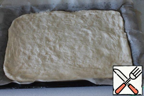 Stretch the dough to the size of the mold, cover and let it come up again.