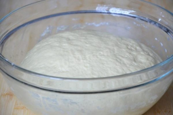 Knead the risen dough well.


