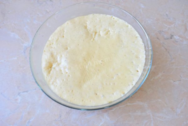 Cover the bowl with a towel and let the dough rest in a warm spot for 20-40 minutes. The dough will rise during this time, and it's important not to disturb it.

