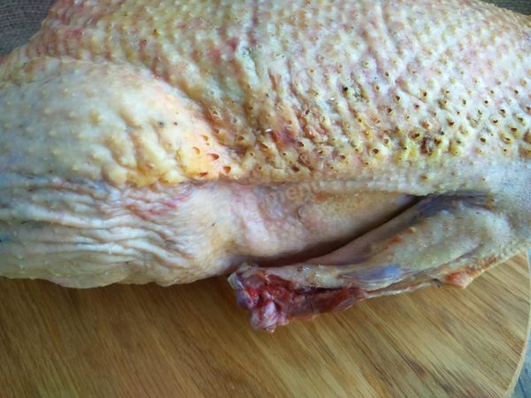 Inspect the goose for any remaining feathers and remove them if necessary. Trim off the wingtips as they can burn during baking, affecting the dish's appearance, which is crucial for a festive meal.

