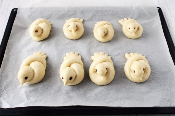 Repeat these steps to form the rest of the larks. Place them on a baking sheet lined with parchment paper, leaving some space between them. Cover the larks with plastic wrap and let them proof for 15-20 minutes. Just before baking, lightly brush the larks with vegetable oil or sweetened tea.


